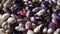 Shelled ripe seeds of kidney bean on heap in HD VIDEO. Pile of dry rawÂ seedsÂ of haricot